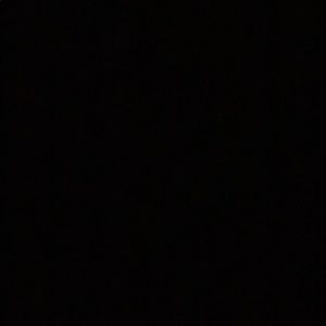 Meet your Posher, Quinn